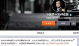 狗仔爆料中漏洞视频播放,揭秘漏洞视频播放背后的惊人真相