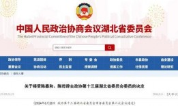 湖北最新爆料消息今天,揭秘神秘事件背后的真相